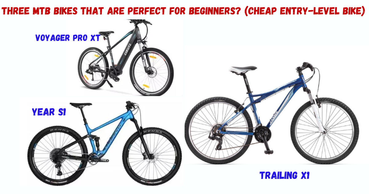 Three MTB bikes that are perfect for beginners? (cheap entry-level bike)