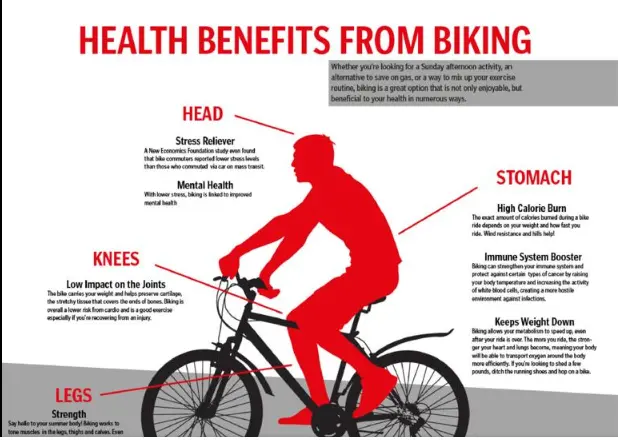 Benefits of mountain biking exercise