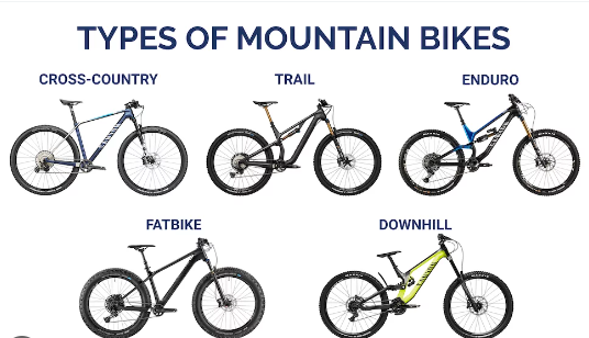 TYPES OF MTB BIKES IN ONE PICTURE