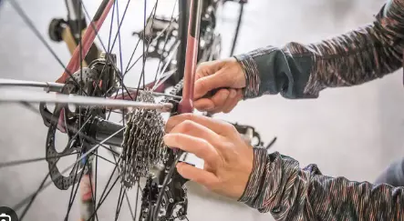 Why Your Bike Deserves Proper Care