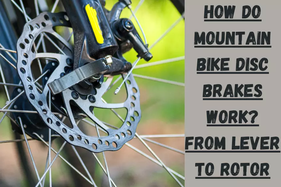 How Do Mountain Bike Disc Brakes Work? From Lever to Rotor