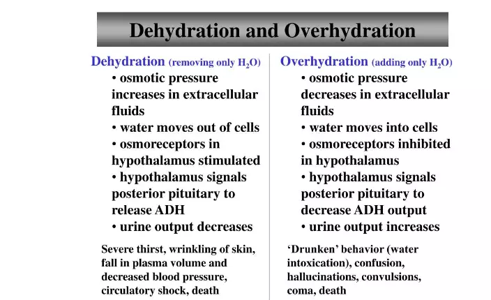 Striking the Balance: Overhydration vs. Dehydration