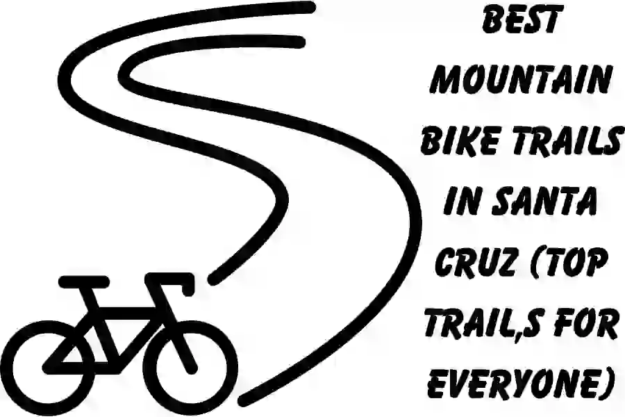 Best Mountain Bike Trails In Santa Cruz (Top trail,s for everyone)