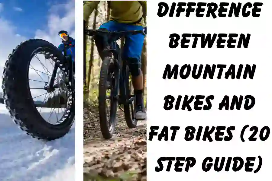 Difference Between Mountain Bikes And Fat Bikes (20 step guide)
