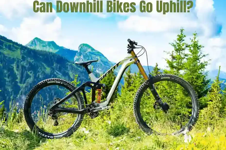 Are Downhill Bikes Worth It?