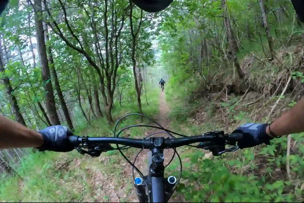 Challenges of Downhill Riding on Hardtail Bikes