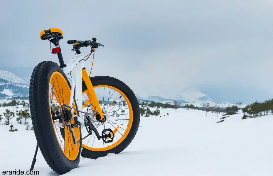 What Is A Fat Bike History Of Fat Bikes And Why Fat Bikes Exist